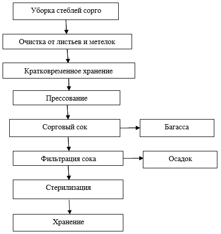 Sorghum syrup Uzbekistan