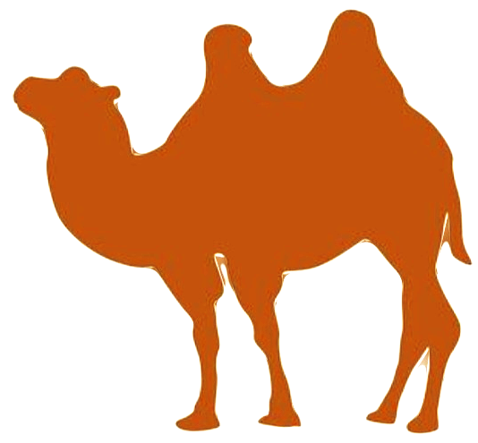 Camel - the sorghum of the plant kingdom